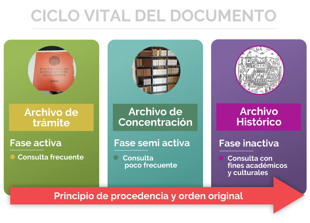 ciclo vital del documento