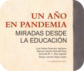 Un A&ntilde;o en Pandemia