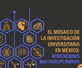 El mosaico de la investigaci&oacute;n universitaria en M&eacute;xico: Aportaciones multidisciplinarias
