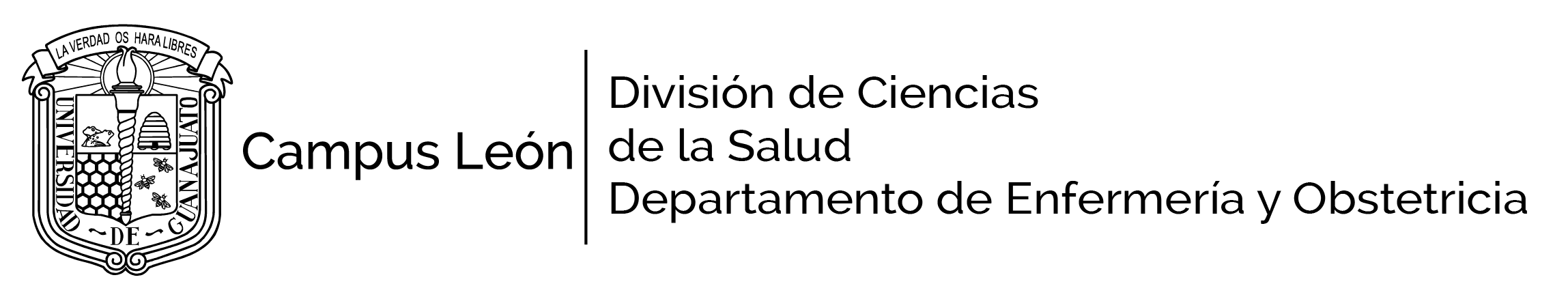 logo enfermer&iacute;a obstetricia