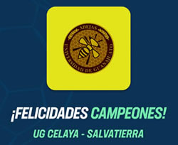 Abejas del Campus Celaya – Salvatierra, Campeones de la Liga JR Virtual CODE