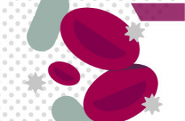 La anemia en el adulto mayor: un problema silencioso