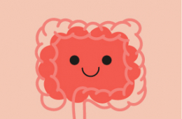 Prebi&oacute;ticos, probi&oacute;ticos y simbi&oacute;ticos