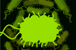 Las bacterias tambi&eacute;n tienen sentidos