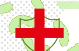 El papel multifuncional de las bacterias &aacute;cido l&aacute;cticas