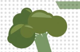 Del campo a la sustentabilidad del br&oacute;coli