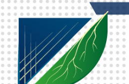 Hacia un Futuro Sostenible: La Importancia de la Energ&iacute;a Solar y su Tecnolog&iacute;a