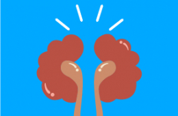 Hagamos equipo por nuestros ri&ntilde;ones: &iexcl;Prevenir es vivir!