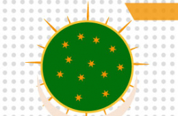 EL AXIS MUNDI GUADALUPANO: S&iacute;mbolo y presencia nacional