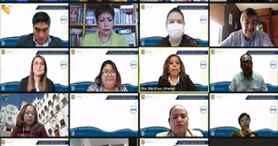  Comienza CIEES el proceso de evaluaci&oacute;n de la Lic. en Enfermer&iacute;a y Obstetricia a distancia con fines de acreditaci&oacute;n