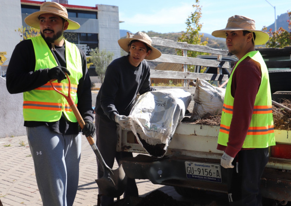 Comunidad del Campus Guanajuato trasplanta 35 reto&ntilde;os de &aacute;rbol