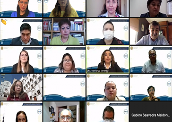  Comienza CIEES el proceso de evaluaci&oacute;n de la Lic. en Enfermer&iacute;a y Obstetricia a distancia con fines de acreditaci&oacute;n