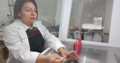 Las mujeres est&aacute;n tomando el espacio que les corresponde y recibiendo el cr&eacute;dito que merecen: Dra. Anareli Quintero