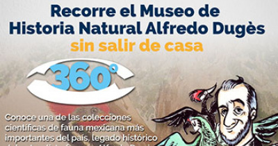 Invita UG a recorridos virtuales del Museo Alfredo Dug&egrave;s
