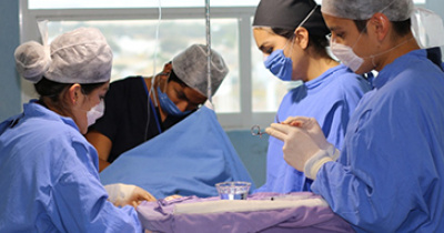 Anuncia UG suspensi&oacute;n de actividades acad&eacute;micas de estudiantes del internado rotatorio de pregrado en campos cl&iacute;nicos