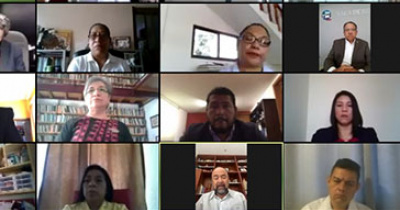 Acad&eacute;mica de la UG aporta su experiencia para la creaci&oacute;n de Licenciatura interinstitucional en educaci&oacute;n inicial