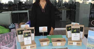 Estudiantes UG desarrollan productos y servicios para responder a problem&aacute;ticas sociales