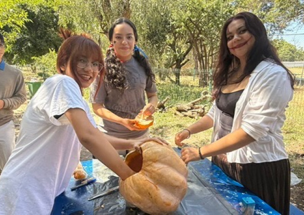 Estudiantes de Nivel Medio Superior celebran el “Pumpkin Carving” e internacionalizaci&oacute;n con creatividad