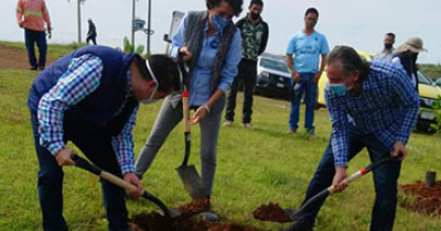 Con 400 especies nativas reforestan sede La Luz en Campus Guanajuato   