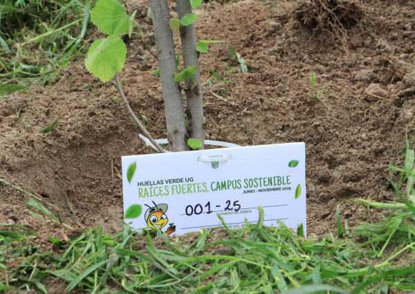Promueven la generaci&oacute;n de espacios verdes a trav&eacute;s de Huellas Verdes UG