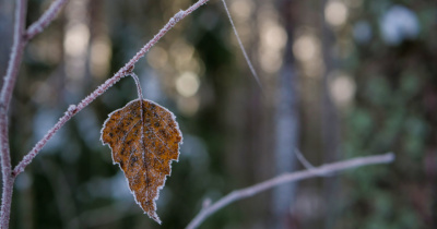 Se esperan heladas de hasta -5 &deg;C en la primera quincena de noviembre