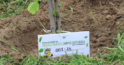 Promueven la generaci&oacute;n de espacios verdes a trav&eacute;s de Huellas Verdes UG