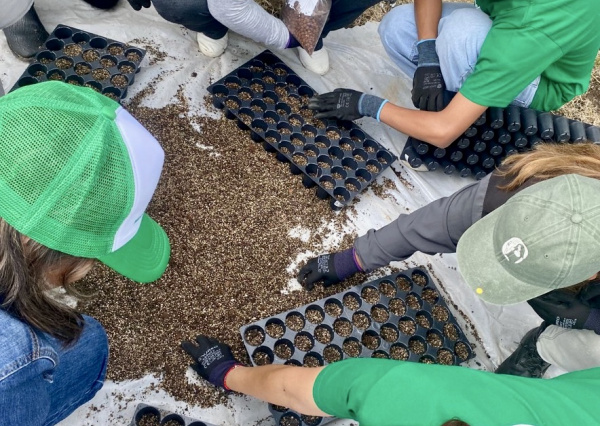 UG impulsa la conservaci&oacute;n ambiental con el Vivero de Propagaci&oacute;n de &Aacute;rboles Nativos