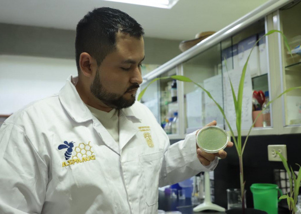 Doctorante UG investiga el potencial de hongos para sustituir pesticidas en el campo