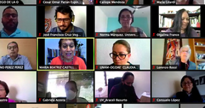 Comparte UG experiencias y resultados del Programa Emergente para la Prevenci&oacute;n del Rezago Educativo, en sesi&oacute;n de la ANUIES 