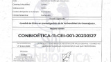 Registro ante la Comisi&oacute;n Nacional de Bi&oacute;etica, del Comit&eacute; de &Eacute;tica en la Investigaci&oacute;n de la Universidad de Guanajuato