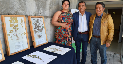 Especialistas en vegetaci&oacute;n colaboran en el II Ciclo Internacional de Conferencias de Bot&aacute;nica 