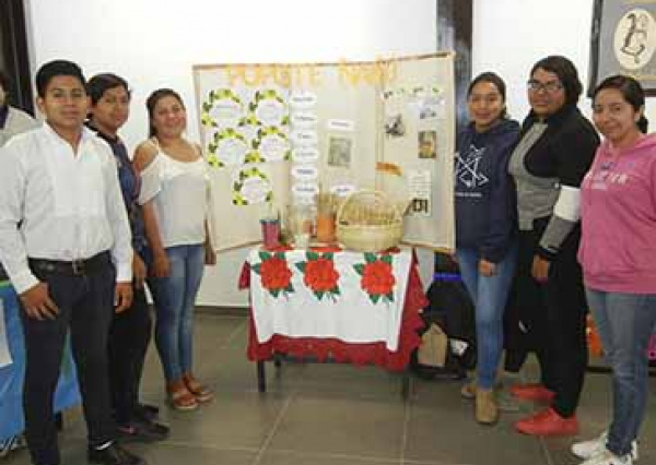 Estudiantes de la UG crean popotes hechos de carrizo para cuidar el medio ambiente