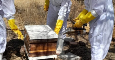 Ense&ntilde;an t&eacute;cnicas de manejo de colmenas y apiarios en la UG 