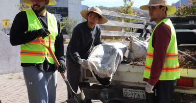 Comunidad del Campus Guanajuato trasplanta 35 reto&ntilde;os de &aacute;rbol