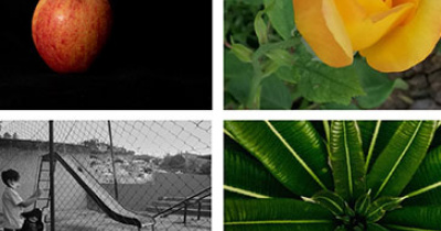 Da a conocer ASPAAUG los nombres de las y los ganadores del Concurso Virtual de Fotograf&iacute;a “Un mundo dentro de casa”