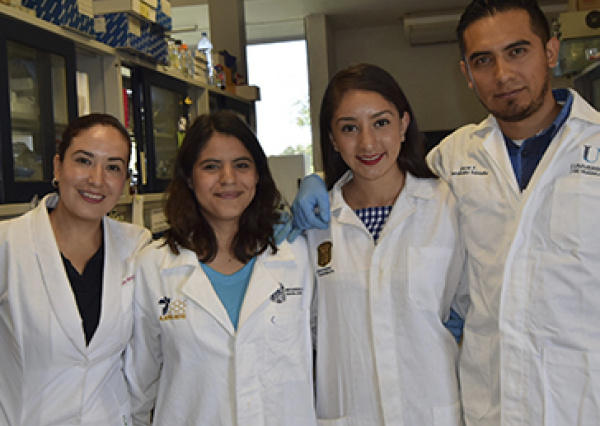 Dan reconocimiento internacional al programa de Ingenier&iacute;a en Alimentos de la UG