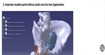 SOMIB premia art&iacute;culo de modelado tridimensional desarrollado entre la UG y la Universidad de Zaragoza