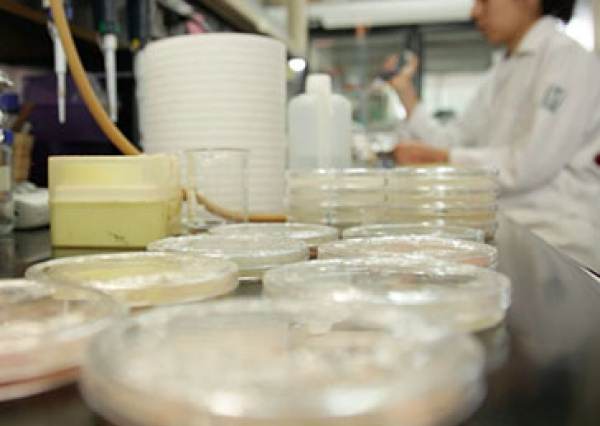 Con actividades h&iacute;bridas, se genera nuevo conocimiento en la Divisi&oacute;n de Ciencias e Ingenier&iacute;as de la UG