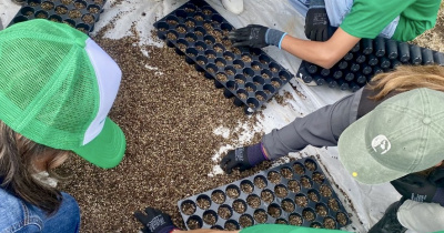 UG impulsa la conservaci&oacute;n ambiental con el Vivero de Propagaci&oacute;n de &Aacute;rboles Nativos