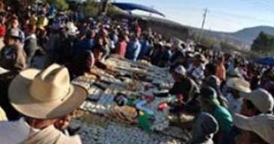 Culto a la Virgen de Guadalupe, insignia de la memoria chichimeca: acad&eacute;mico UG 