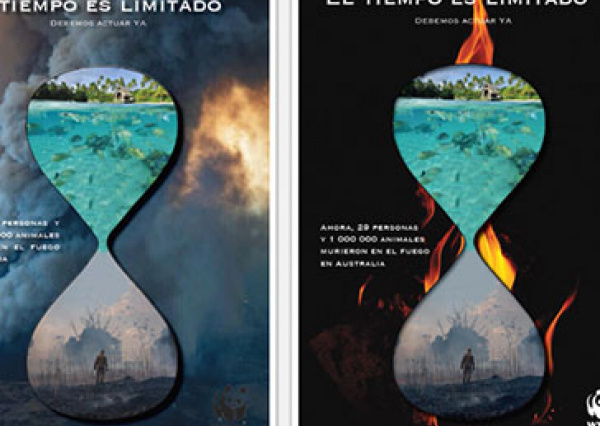 Definen a ganadores del Concurso de Cartel “Imaginarios Colectivos. El valor del Agua” Agua superficial y subterr&aacute;nea”