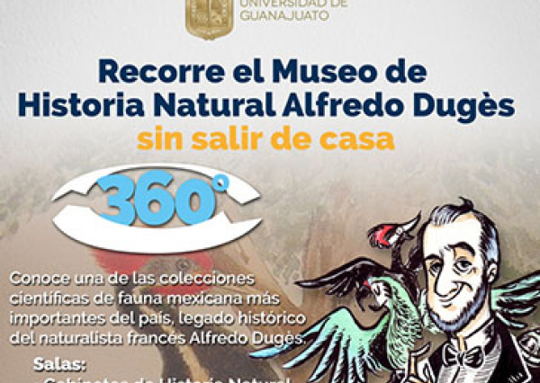 Invita UG a recorridos virtuales del Museo Alfredo Dug&egrave;s