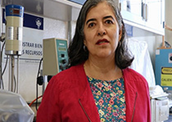 UG obtiene patente por el proceso de obtenci&oacute;n de fibra y cut&iacute;cula de nopal 