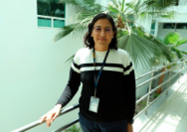 Exploran en la UG aplicaciones de la Ingenier&iacute;a de Datos y la Inteligencia Artificial