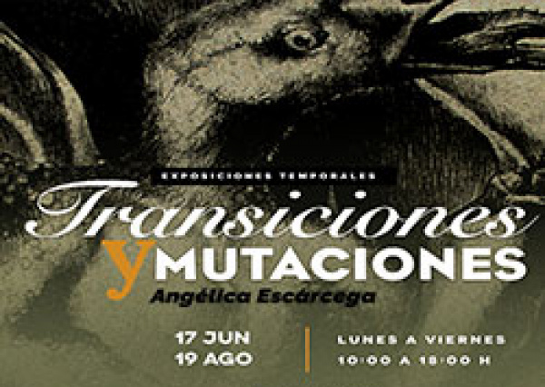 La UG pone el arte y la cultura al alcance del p&uacute;blico 