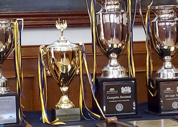 Entregan Equipos de Litigaci&oacute;n Oral a la UG, trofeos obtenidos en competencias nacionales e internacionales