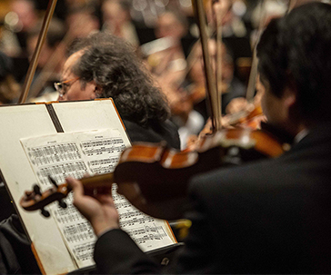 grupos-artisticos-ug-ugto-