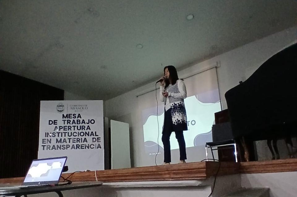 nms gonzález ceballos 4