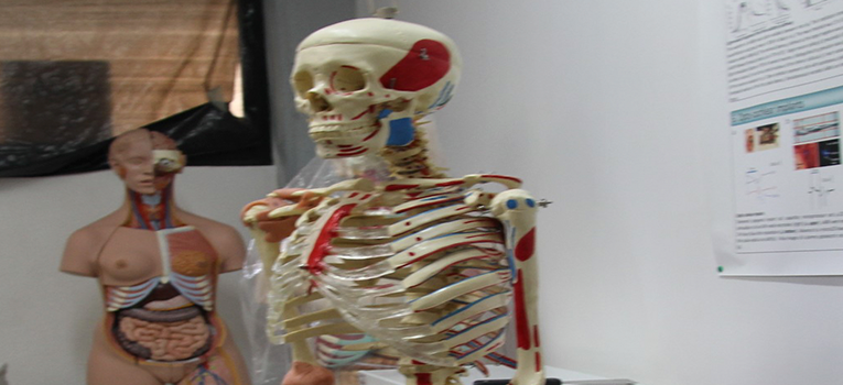 investigador-ugto-ug