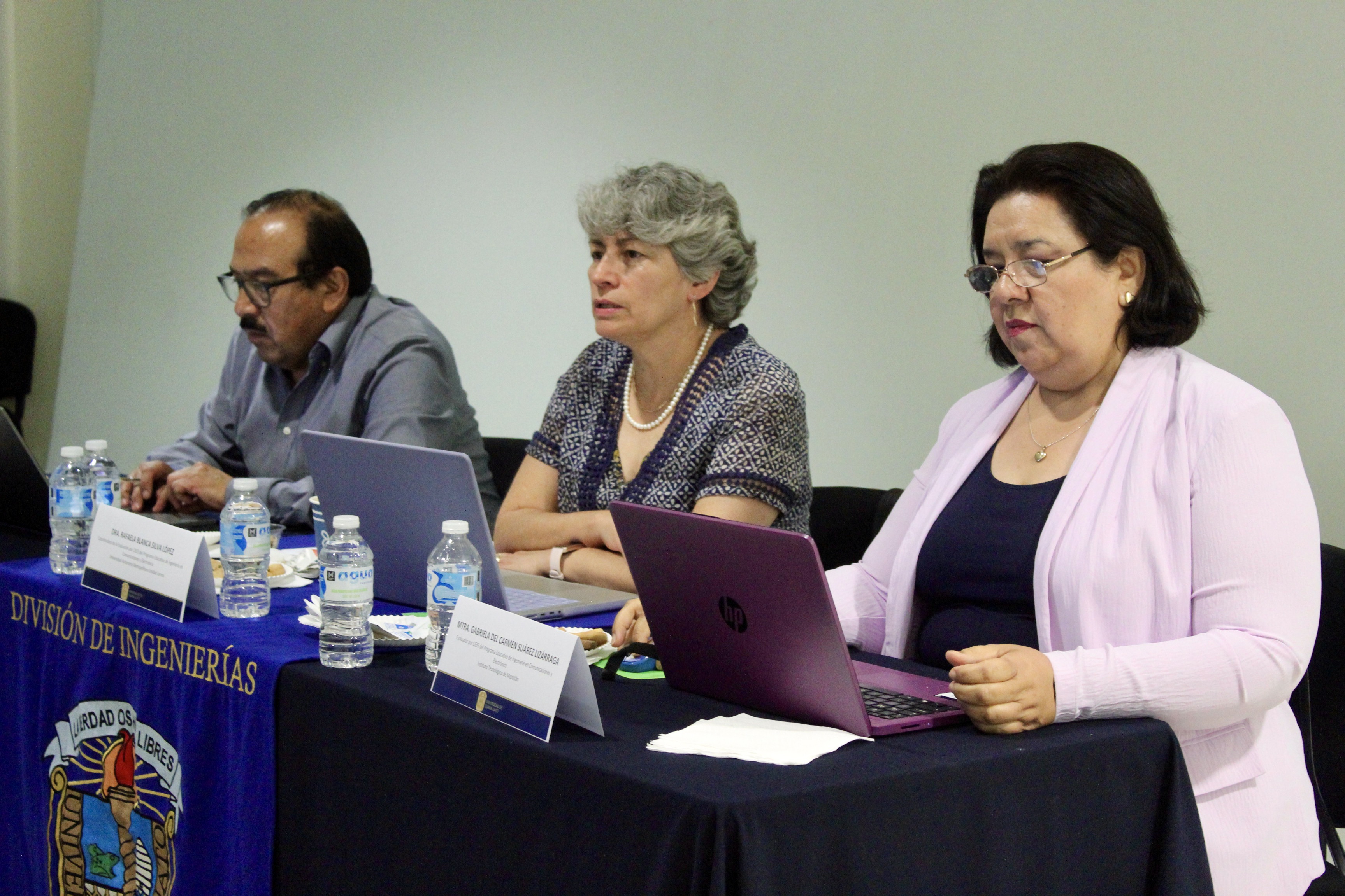 comite comunicaciones electronica